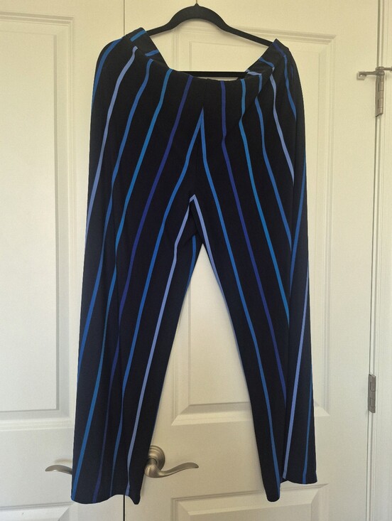 Susan Graver Pants - Susan Graver Navy Pants with Blue Vertical Stripes